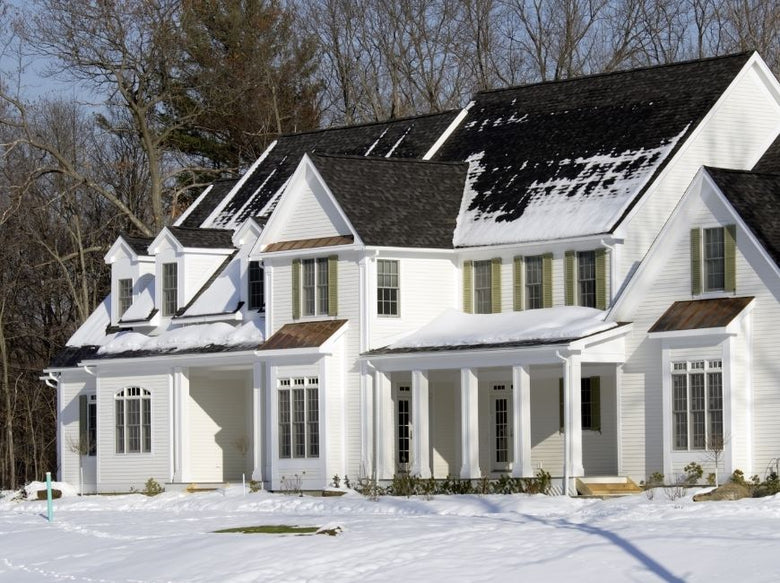 white home in show with green shutters