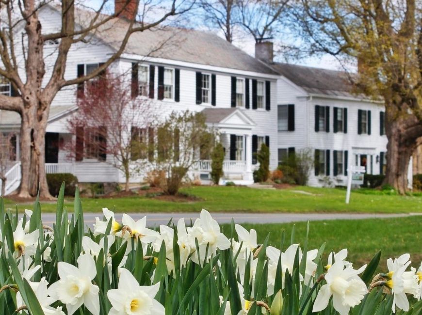 white houses and black shutters